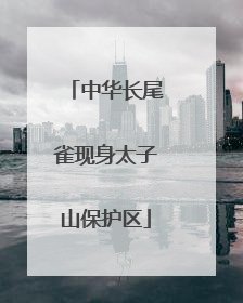 中华长尾雀现身太子山保护区