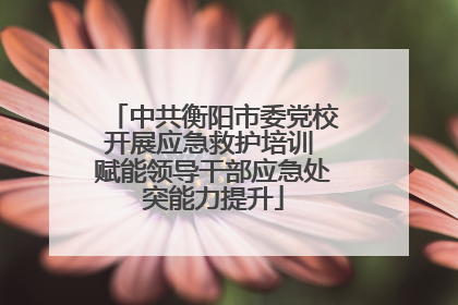 中共衡阳市委党校开展应急救护培训 赋能领导干部应急处突能力提升