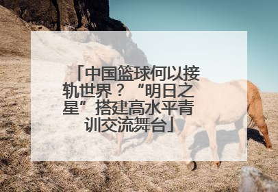 中国篮球何以接轨世界？“明日之星”搭建高水平青训交流舞台