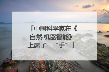 中国科学家在《自然·机器智能》上露了一“手”