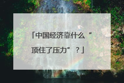 中国经济靠什么“顶住了压力”？