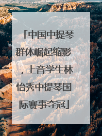 中国中提琴群体崛起缩影，上音学生林怡秀中提琴国际赛事夺冠