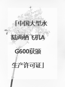 中国大型水陆两栖飞机AG600获颁生产许可证