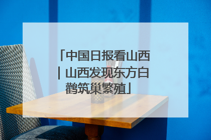 中国日报看山西｜山西发现东方白鹳筑巢繁殖