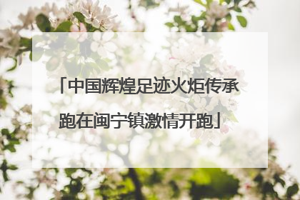 中国辉煌足迹火炬传承跑在闽宁镇激情开跑