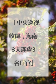 中央巡视收尾，海南3天连查3名厅官