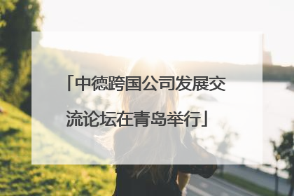 中德跨国公司发展交流论坛在青岛举行
