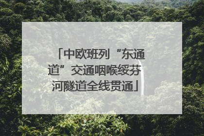 中欧班列“东通道”交通咽喉绥芬河隧道全线贯通