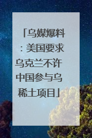 乌媒爆料：美国要求乌克兰不许中国参与乌稀土项目