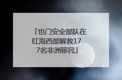 也门安全部队在红海西部解救177名非洲移民