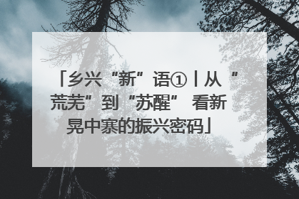 乡兴“新”语①丨从“荒芜”到“苏醒” 看新晃中寨的振兴密码