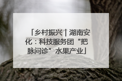 乡村振兴｜湖南安化：科技服务团“把脉问诊”水果产业