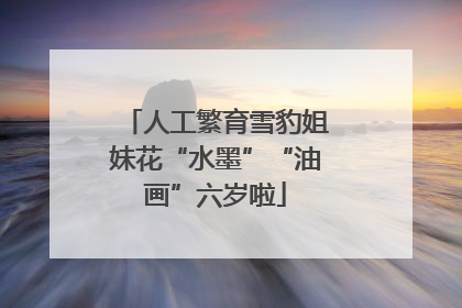 人工繁育雪豹姐妹花“水墨”“油画”六岁啦