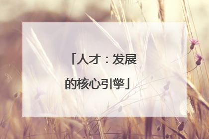 人才：发展的核心引擎