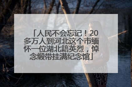 人民不会忘记！20多万人到河北这个市缅怀一位湖北籍英烈，悼念缎带挂满纪念馆