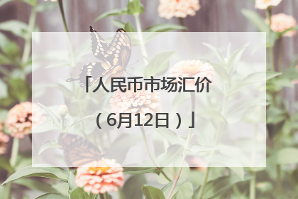 人民币市场汇价（6月12日）
