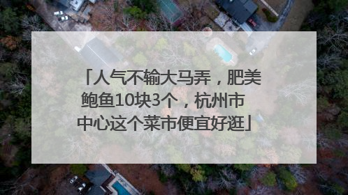 人气不输大马弄，肥美鲍鱼10块3个，杭州市中心这个菜市便宜好逛