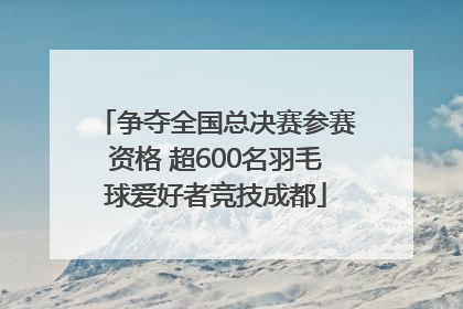 争夺全国总决赛参赛资格 超600名羽毛球爱好者竞技成都
