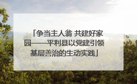 争当主人翁 共建好家园——平利县以党建引领基层善治的生动实践