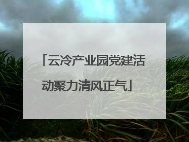 云冷产业园党建活动聚力清风正气
