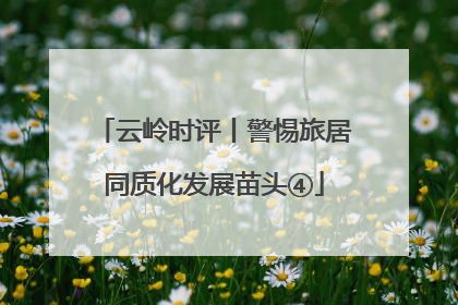 云岭时评丨警惕旅居同质化发展苗头④