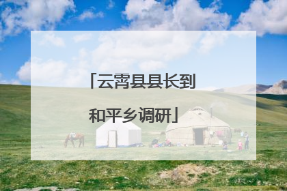 云霄县县长到和平乡调研