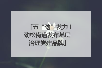五“劲”发力！劲松街道发布基层治理党建品牌