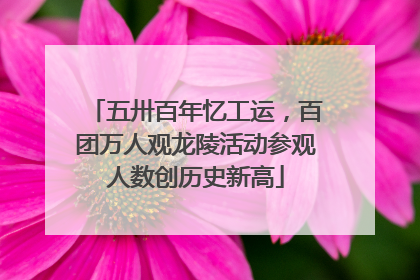 五卅百年忆工运，百团万人观龙陵活动参观人数创历史新高