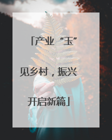 产业“玉”见乡村，振兴开启新篇