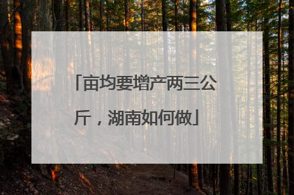 亩均要增产两三公斤，湖南如何做