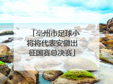 亳州市足球小将将代表安徽出征国赛总决赛