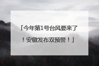 今年第1号台风要来了！安徽发布双预警！