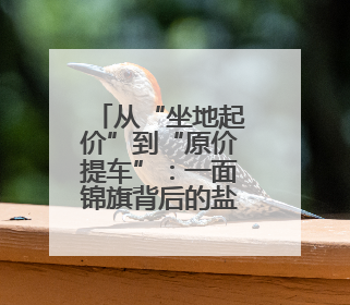 从“坐地起价”到“原价提车”：一面锦旗背后的盐城市场监管“刚柔并济”