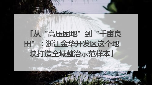 从“高压困地”到“千亩良田”：浙江金华开发区这个地块打造全域整治示范样本