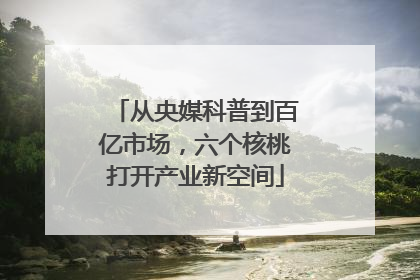 从央媒科普到百亿市场，六个核桃打开产业新空间
