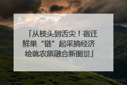 从枝头到舌尖！宿迁鲜果“链”起采摘经济绘就农旅融合新图景
