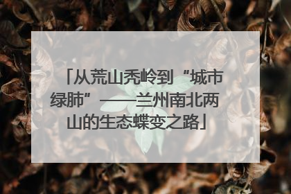 从荒山秃岭到“城市绿肺”——兰州南北两山的生态蝶变之路