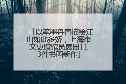 以笔墨丹青描绘江山如此多娇，上海市文史馆馆员展出113件书画新作