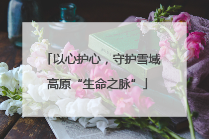 以心护心，守护雪域高原“生命之脉”