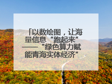 以数绘图，让海量信息“跑起来”——“绿色算力赋能青海实体经济”系列报道①