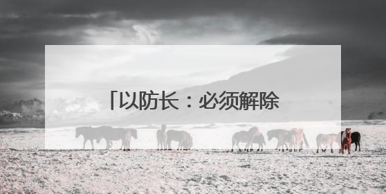 以防长：必须解除黎真主党武装 否则将继续采取行动
