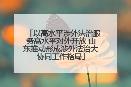 以高水平涉外法治服务高水平对外开放 山东推动形成涉外法治大协同工作格局