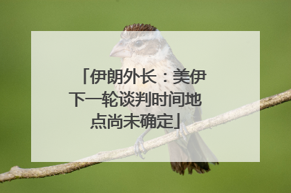 伊朗外长：美伊下一轮谈判时间地点尚未确定