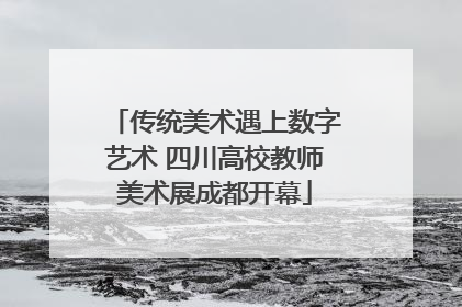 传统美术遇上数字艺术 四川高校教师美术展成都开幕
