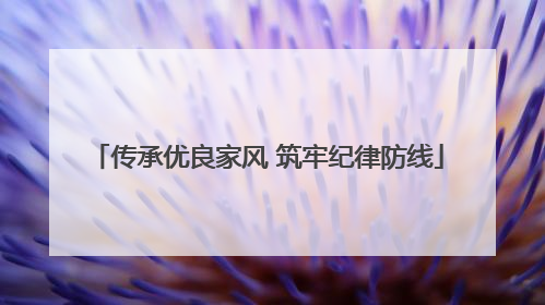 传承优良家风 筑牢纪律防线