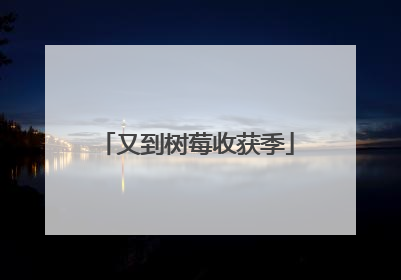又到树莓收获季