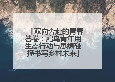 双向奔赴的青春答卷：鸬鸟青年用生态行动与思想碰撞书写乡村未来