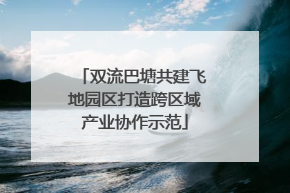 双流巴塘共建飞地园区打造跨区域产业协作示范