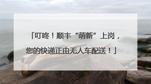 叮咚！顺丰“萌新”上岗，您的快递正由无人车配送！