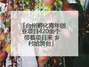 台州孵化青年创业项目420余个 带着项目来 乡村给舞台